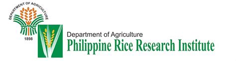 Working at Philippine Rice Research Institute .
